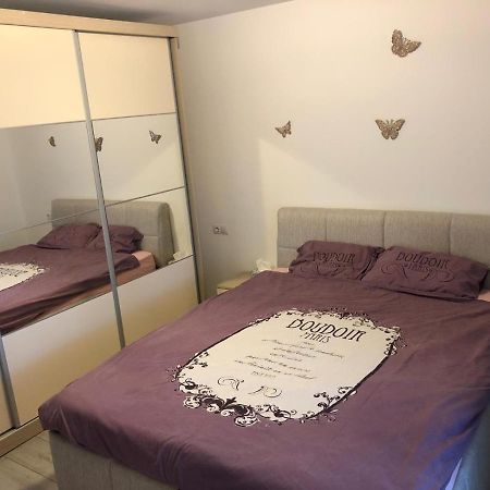 Apartament Modern Targoviste In Regim Hotelier Εξωτερικό φωτογραφία