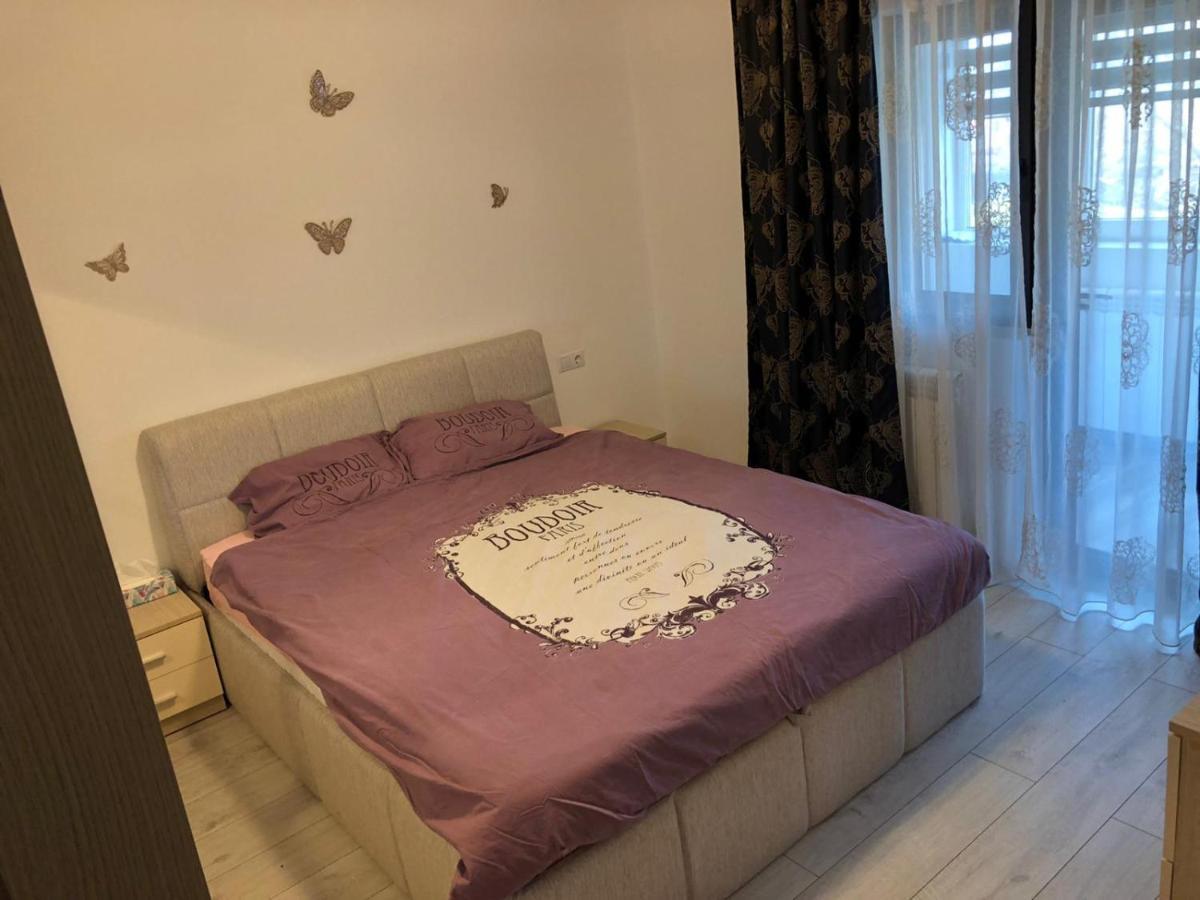 Apartament Modern Targoviste In Regim Hotelier Εξωτερικό φωτογραφία
