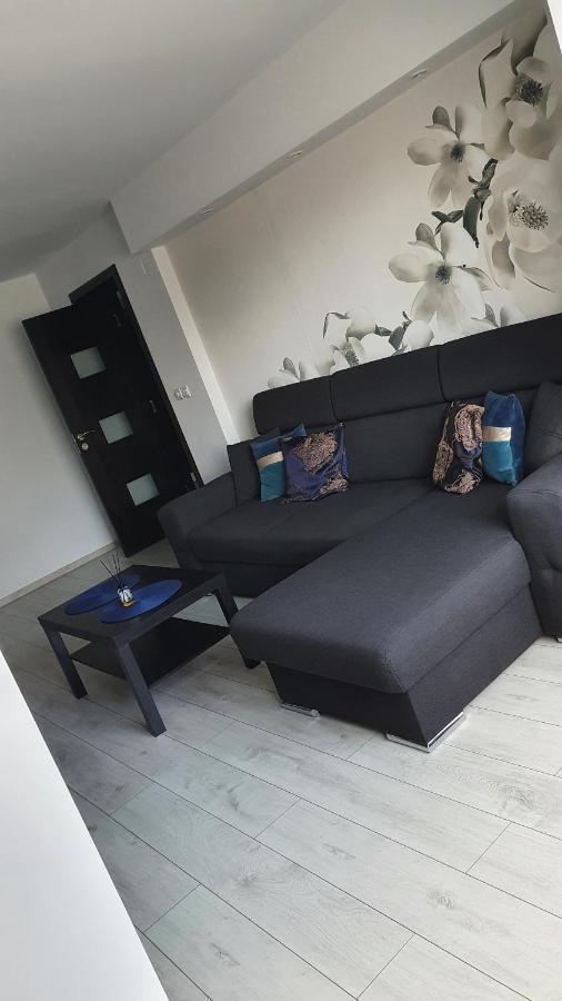 Apartament Modern Targoviste In Regim Hotelier Εξωτερικό φωτογραφία